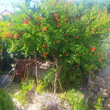 Antica Semesterbostad