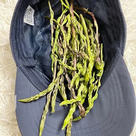 Antica Semesterbostad *