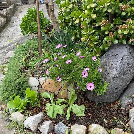 Antica Semesterbostad Gergei