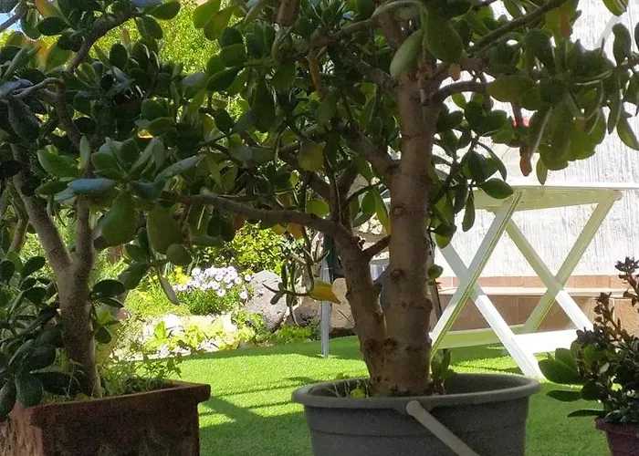 Antica 度假居 Gergei