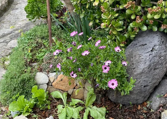 Antica 度假居 Gergei