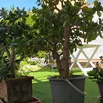 Antica Hébergement de vacances Gergei