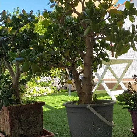 Antica 別荘 Gergei